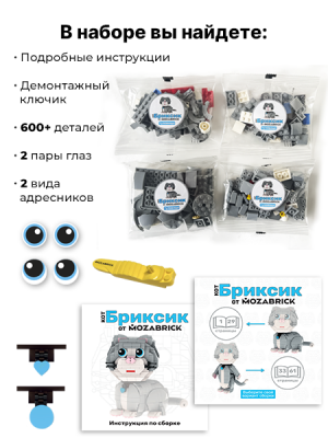 Конструктор Кот Бриксик 