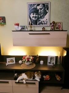 Фото отзыва от покупателя Алёна