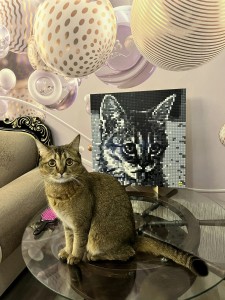 Фото отзыва от покупателя Елена