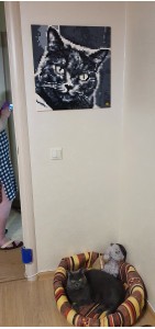 Фото отзыва от покупателя Александр