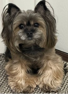 Фото отзыва от покупателя Влада