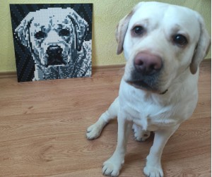 Фото отзыва от покупателя Юлия