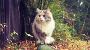 Фото отзыва от покупателя Ольга