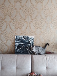 Фото отзыва от покупателя Сергей