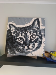 Фото отзыва от покупателя Алла