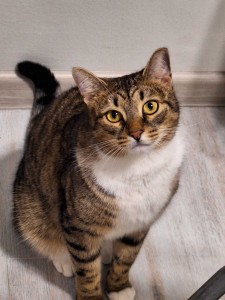 Фото отзыва от покупателя Алла