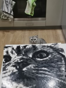 Фото отзыва от покупателя Сергей